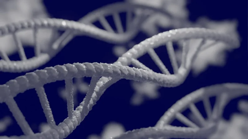 Avansele în terapia genică în tratamentul cancerului