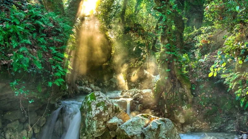 Fără limite: explorarea noilor frontiere în Fără categorie
