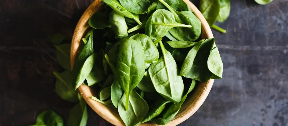 Importanța nutriției pentru sănătatea celulară