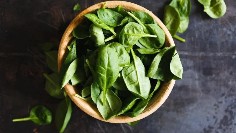 Importanța nutriției pentru sănătatea celulară