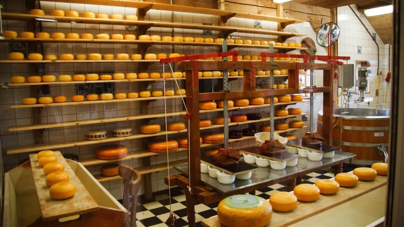 Inovații Tehnologice care revoluționează industria alimentară