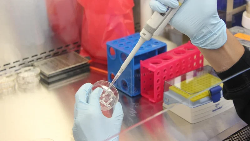 Noile descoperiri în lupta împotriva cancerului